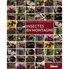 INSECTES EN MONTAGNE