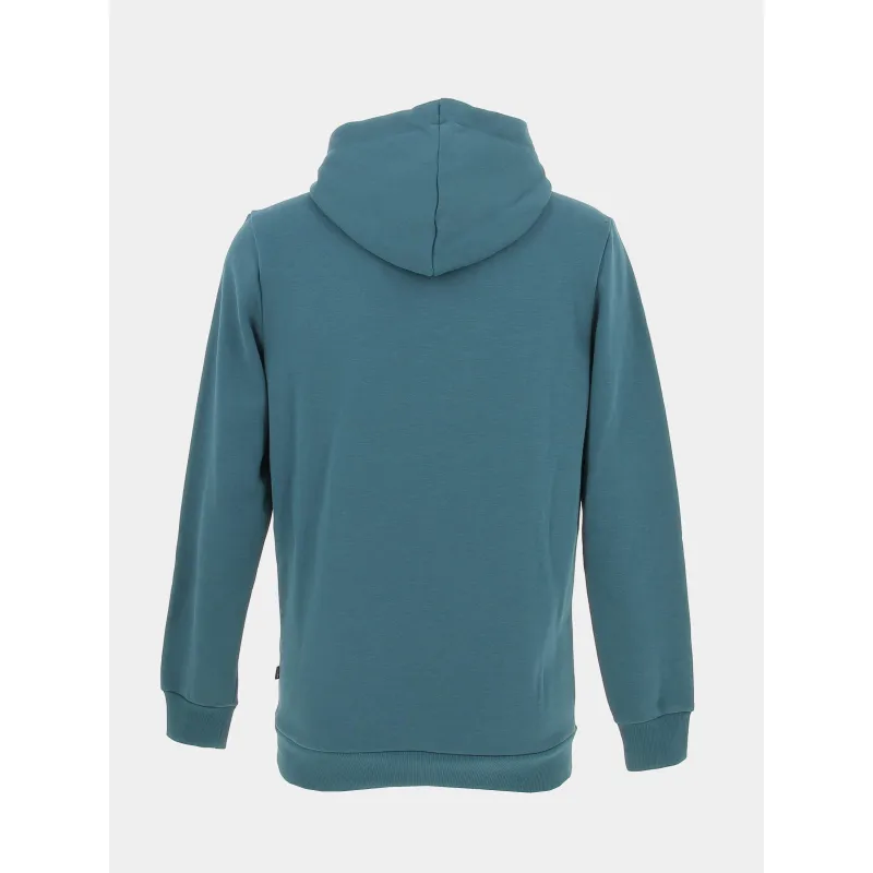 Sweat à capuche essential +2 vert homme - Puma | wimod