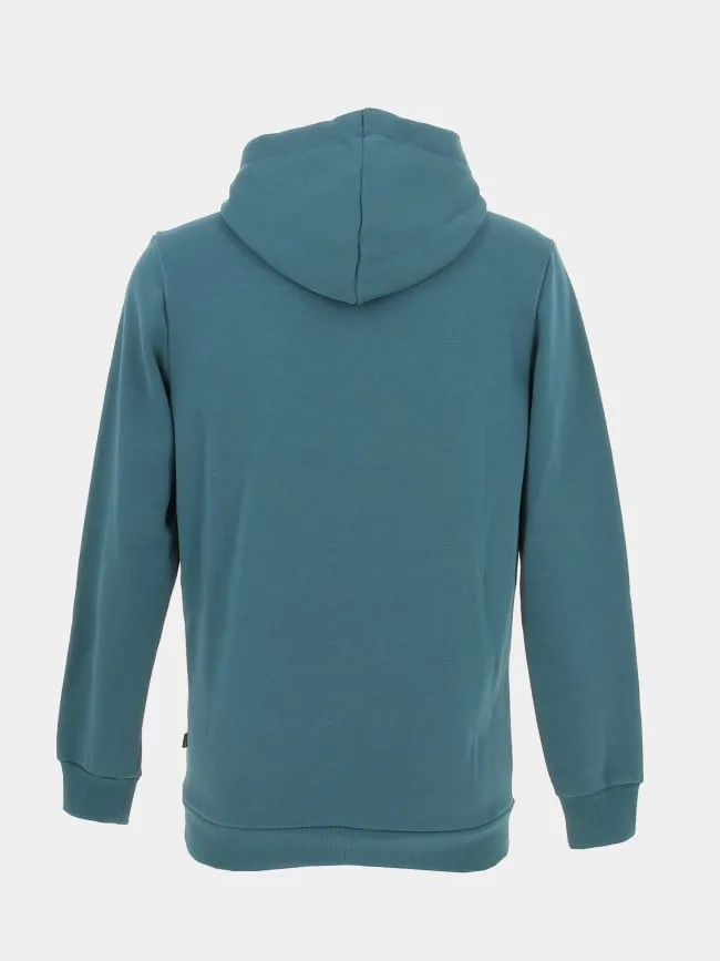 Sweat à capuche essential +2 vert homme - Puma | wimod