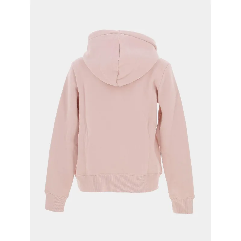 Sweat à capuche metallic logo rose femme - Superdry | wimod